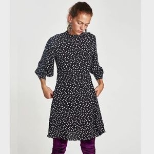 ZARA Skater Dress